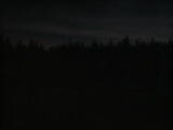 21 : 18
