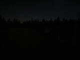 03 : 46
