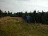 09 : 46