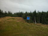 14 : 46