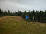 14 : 50