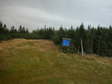 15 : 02