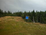 15 : 30