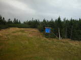 15 : 46