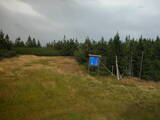 15 : 54