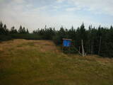 16 : 50