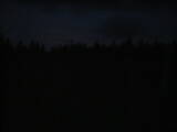 20 : 42