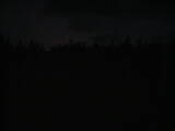 20 : 46