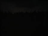 20 : 50
