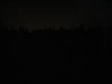 23 : 10