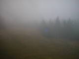 06 : 50