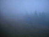 07 : 50