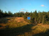 19 : 10