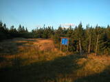 19 : 14