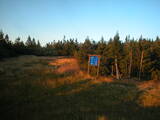 19 : 26