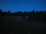 20 : 38