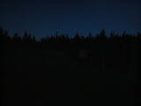 20 : 50