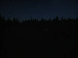 20 : 54
