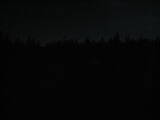 21 : 14