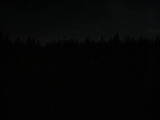 23 : 18