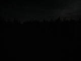 23 : 50
