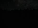 00 : 50