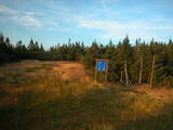 19 : 14