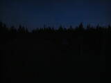 20 : 42