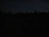 20 : 50