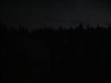 20 : 54