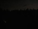 21 : 38