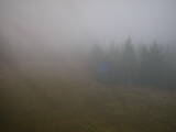 15 : 50