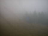 16 : 14