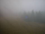 16 : 34
