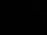 03 : 10
