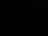 03 : 30