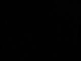03 : 42
