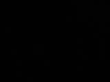 03 : 46