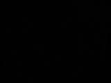04 : 46