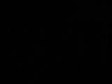 04 : 50