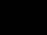 05 : 02