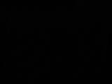 03 : 06