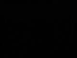 03 : 50