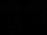 04 : 06