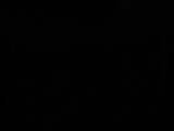 04 : 38