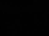04 : 42