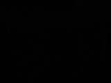 04 : 46