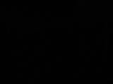 04 : 50