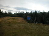 15 : 50