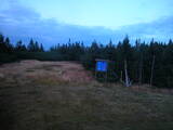 19 : 22